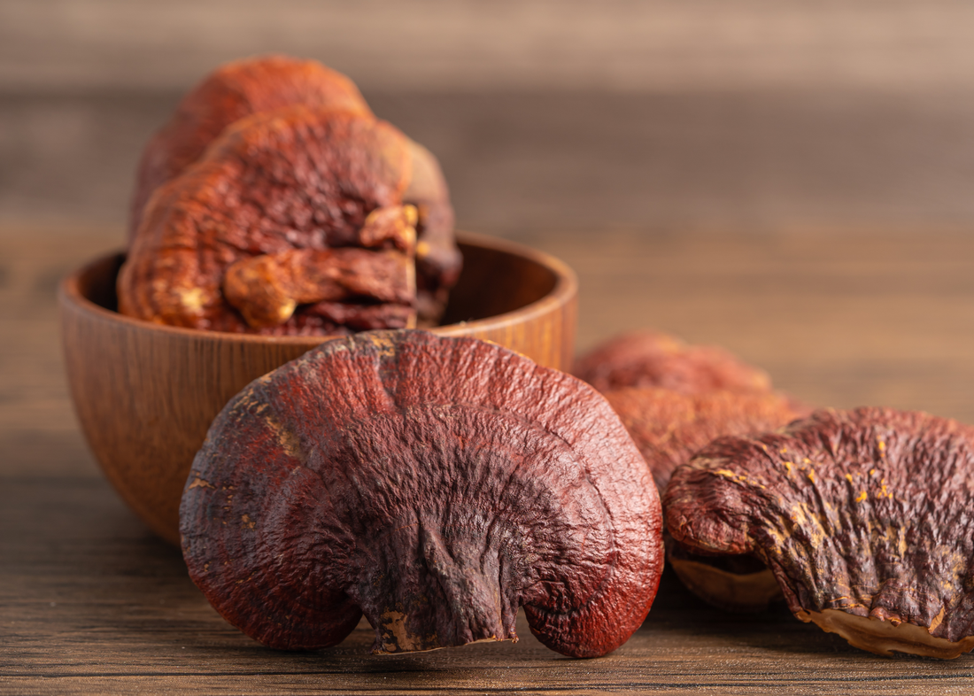 Minden, amit a reishi gomba, más néven pecsétviaszgomba, jótékony hatásairól tudnod kell